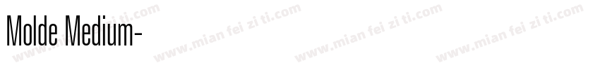 Molde Medium字体转换